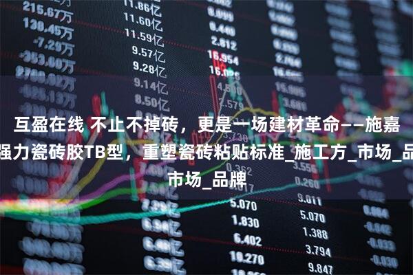 互盈在线 不止不掉砖，更是一场建材革命——施嘉乐强力瓷砖胶TB型，重塑瓷砖粘贴标准_施工方_市场_品牌