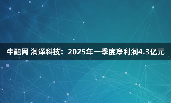 牛融网 润泽科技：2025年一季度净利润4.3亿元